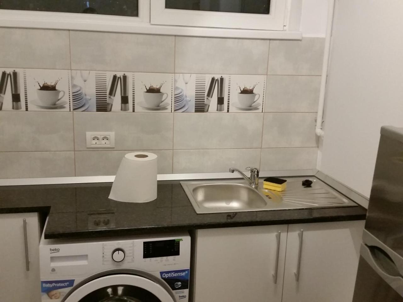 Grozavesti Apartment Near Politehnic Park Bucharest Luaran gambar