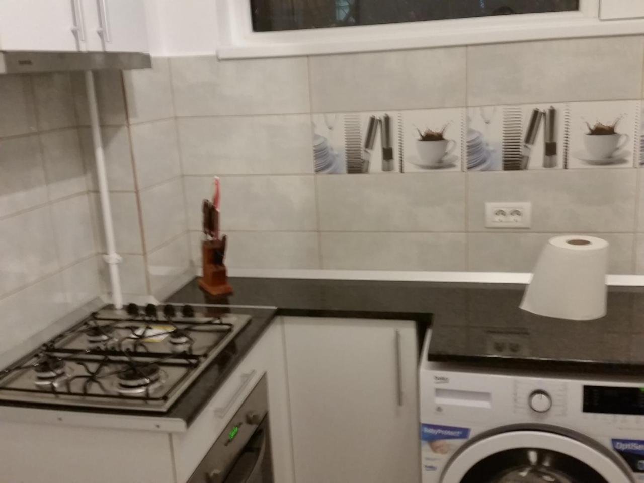 Grozavesti Apartment Near Politehnic Park Bucharest Luaran gambar